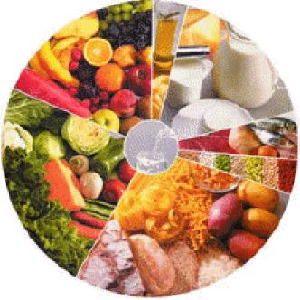 CURSO DIETA DE EMERGENCIA